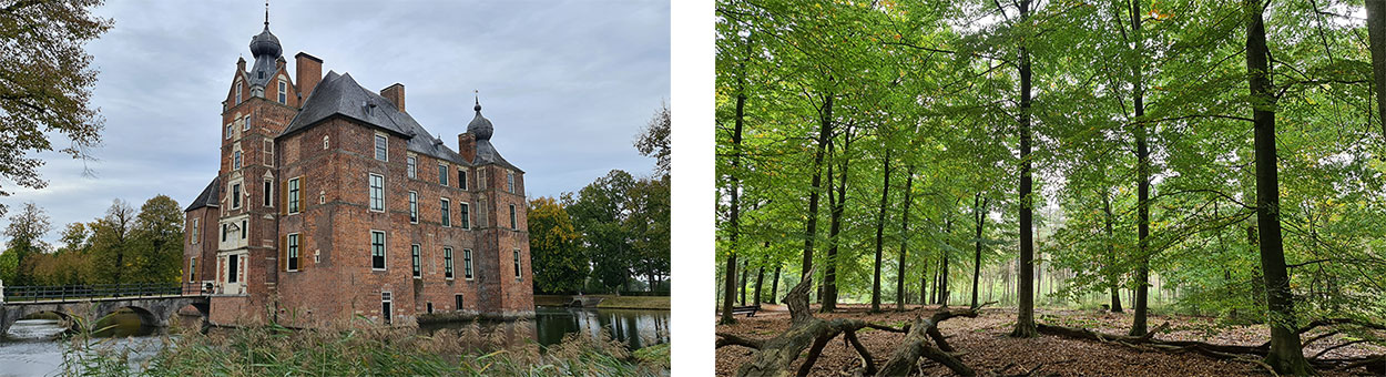 Fotografie weekend op de Hoge Veluwe