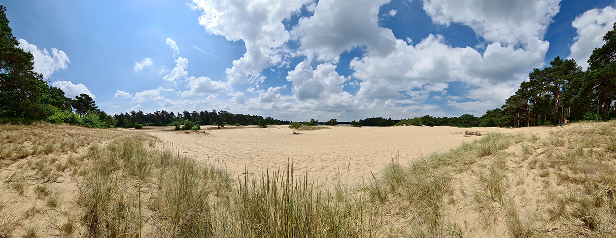 Fotoweekend Hoge Veluwe - Zandverstuiving fotograferen (Co Bliekendaal)