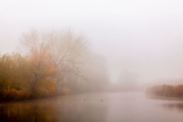 Fotograaf-Danny -Lankers-landschap