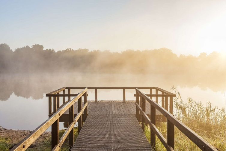 Fotograaf-Danny -Lankers-natuur