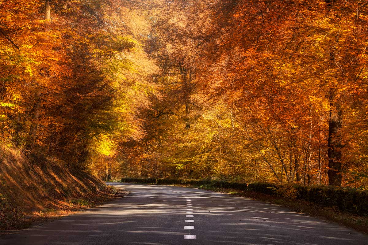 Herfstkleuren in Luxemburg fotograferen