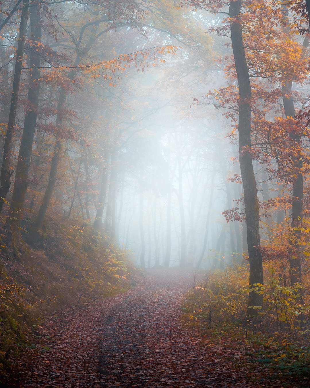 Volg ook een fotoweekend in Luxemburg