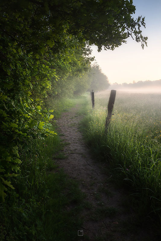 Landschapsfotografie Doode Bemde (Dijlevallei) - Kevin Teerlynck