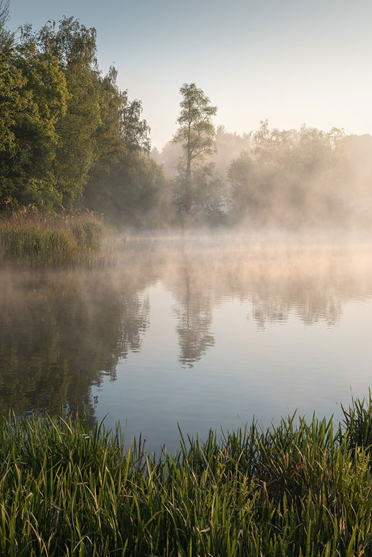 Landschapsfotografie Doode Bemde (Dijlevallei) - Kevin Teerlynck