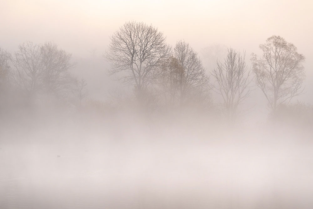 Landschapsfotografie Doode Bemde (Dijlevallei) - Kevin Teerlynck