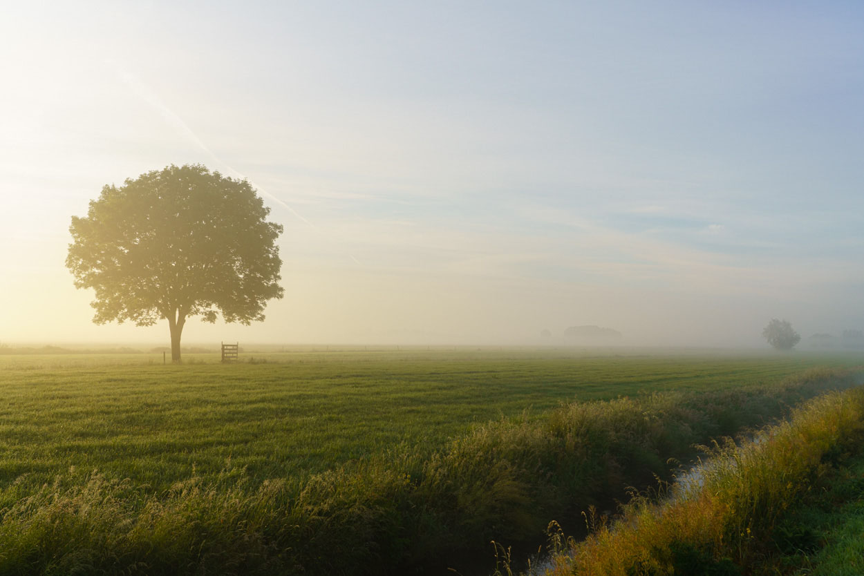 fotografie tips mist