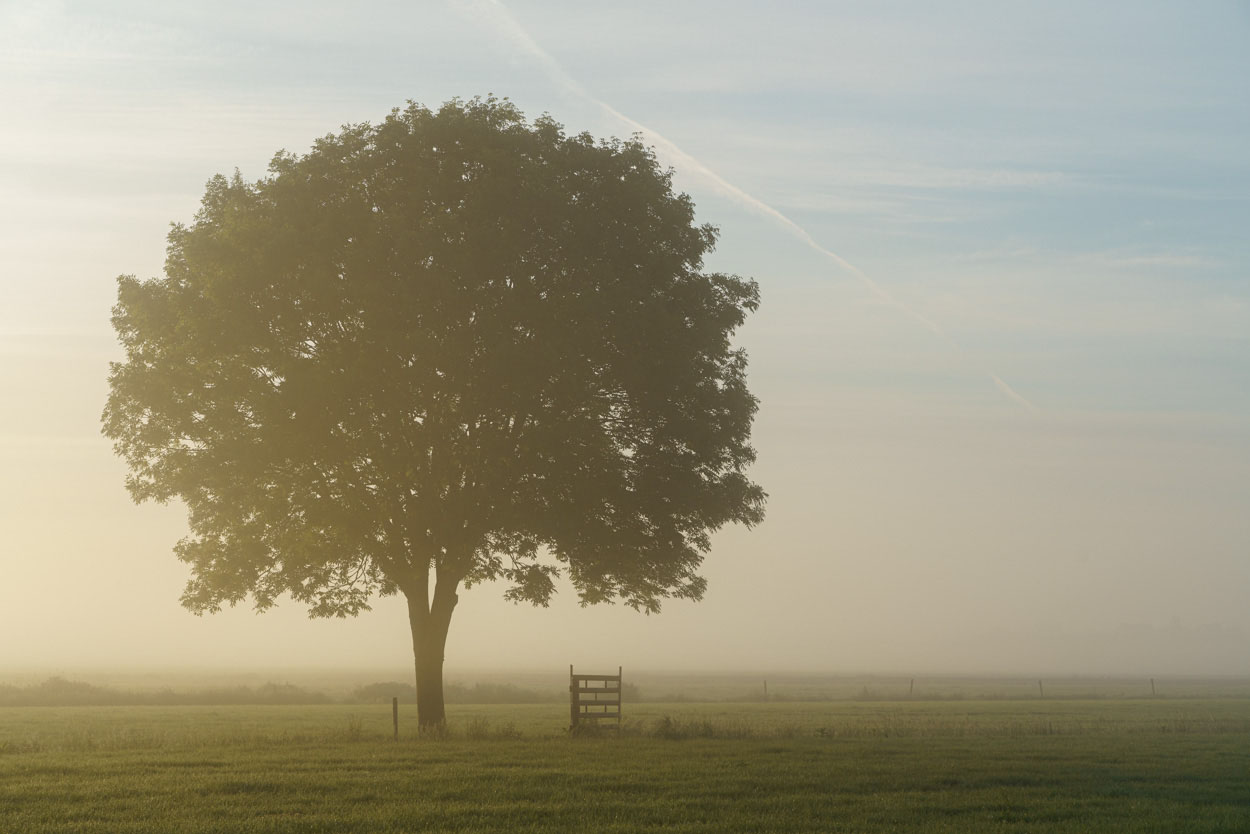 zoomlens tips mist fotograferen