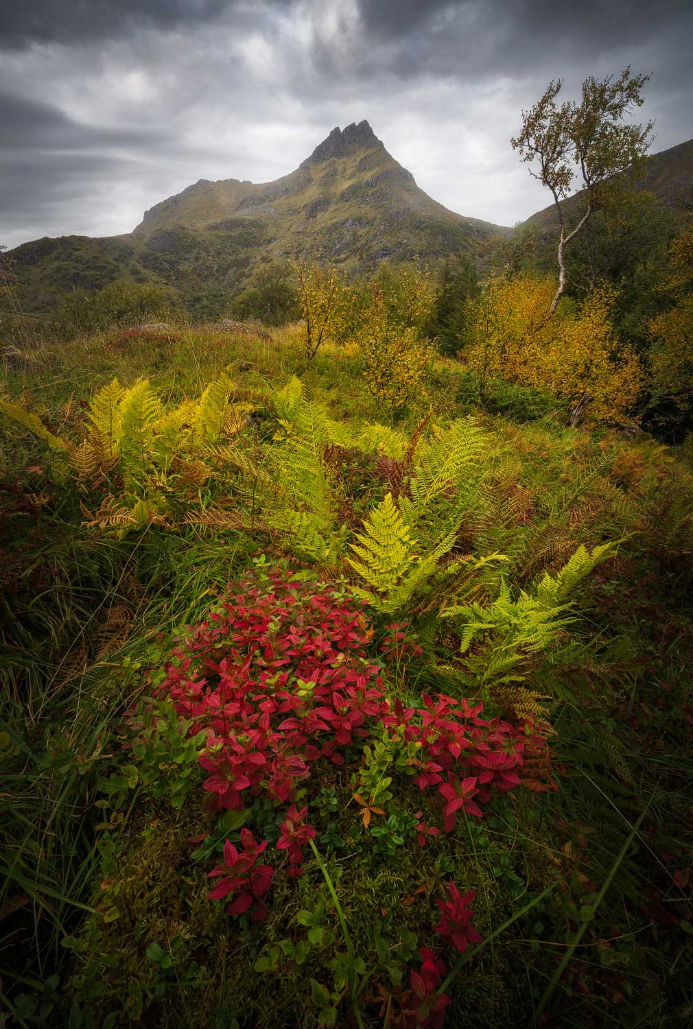 Fotoreis in Noorwegen volgen in de herfst