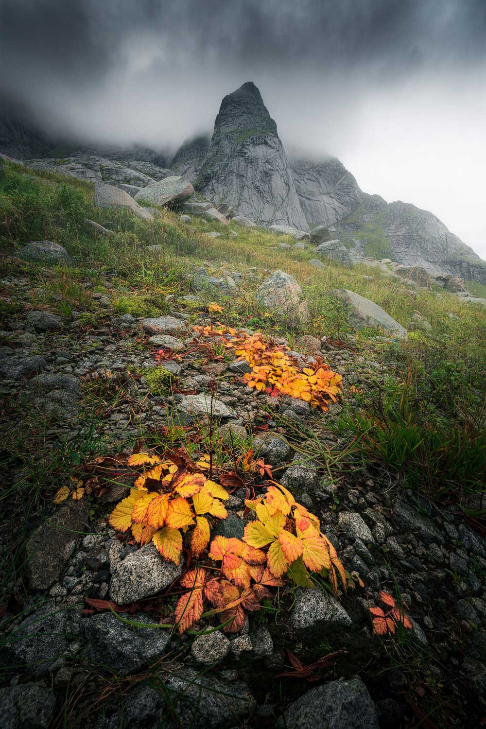 prachtige fotoreis in de lofoten volgen in de herfst