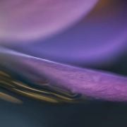 Workshop Abstracte Macrofotografie