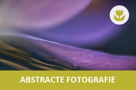 Volg deze creatieve fotografie workshop over abstracte foto's maken