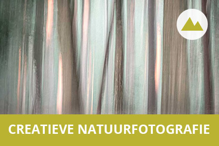 Workshop creatieve natuurfotografie volgen