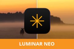 Beste online cursus Luminar Neo in het Nederlands