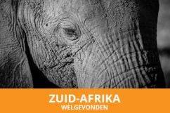 Fotoreis naar Welgevonden Game Reserve - Goedkoopste fotoreis naar Zuid-Afrika