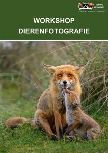 Syllabus Workshop Dierenfotografie