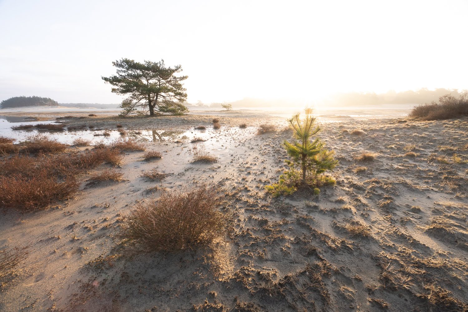 hdr samenvoegen tips nadelen
