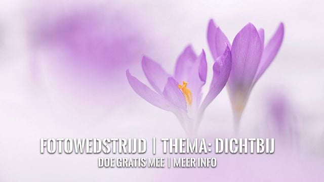 homepage-vak-fotowedstrijd-dichtbij-2025