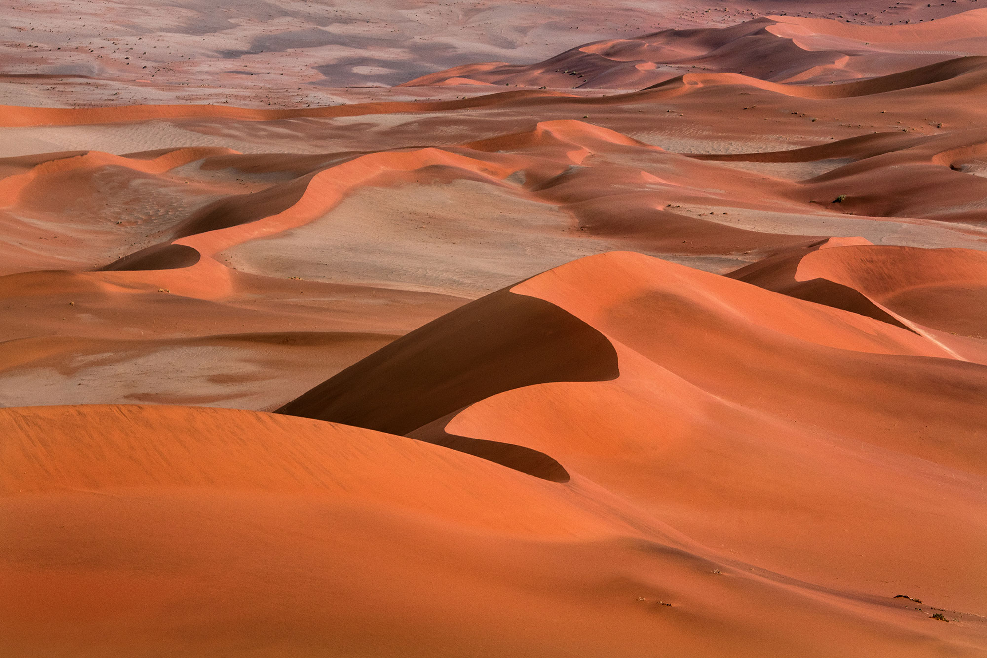 fotograferen in namibie reistips