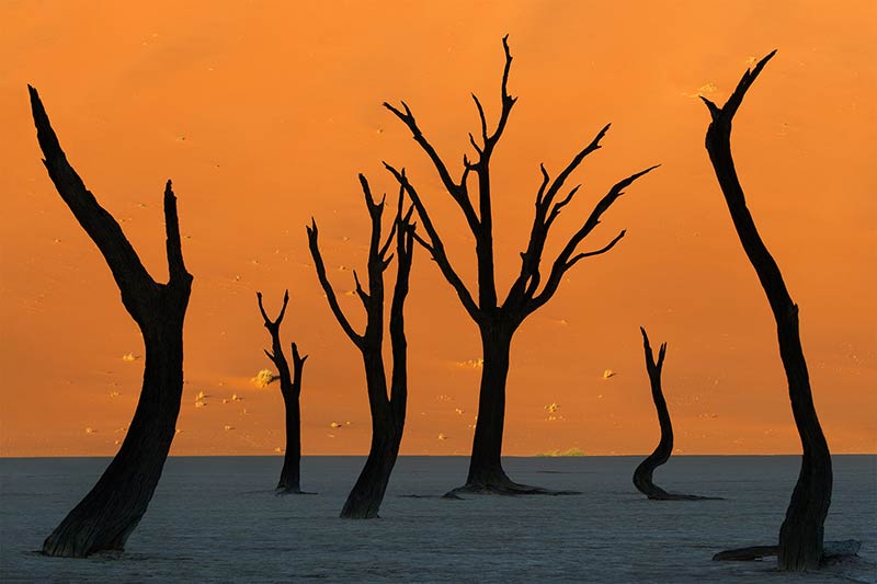 fotografie-reis-namibie-volgen Fotografeer unieke locaties tijdens onze fotoreis naar Namibië