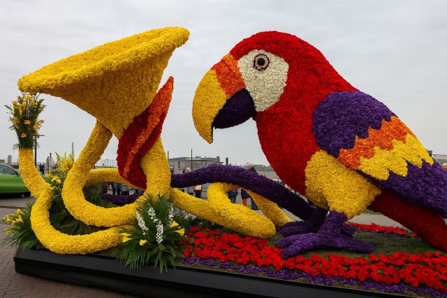 praalwagens-bloemencorso-voorjaars-evenementen-fotograa