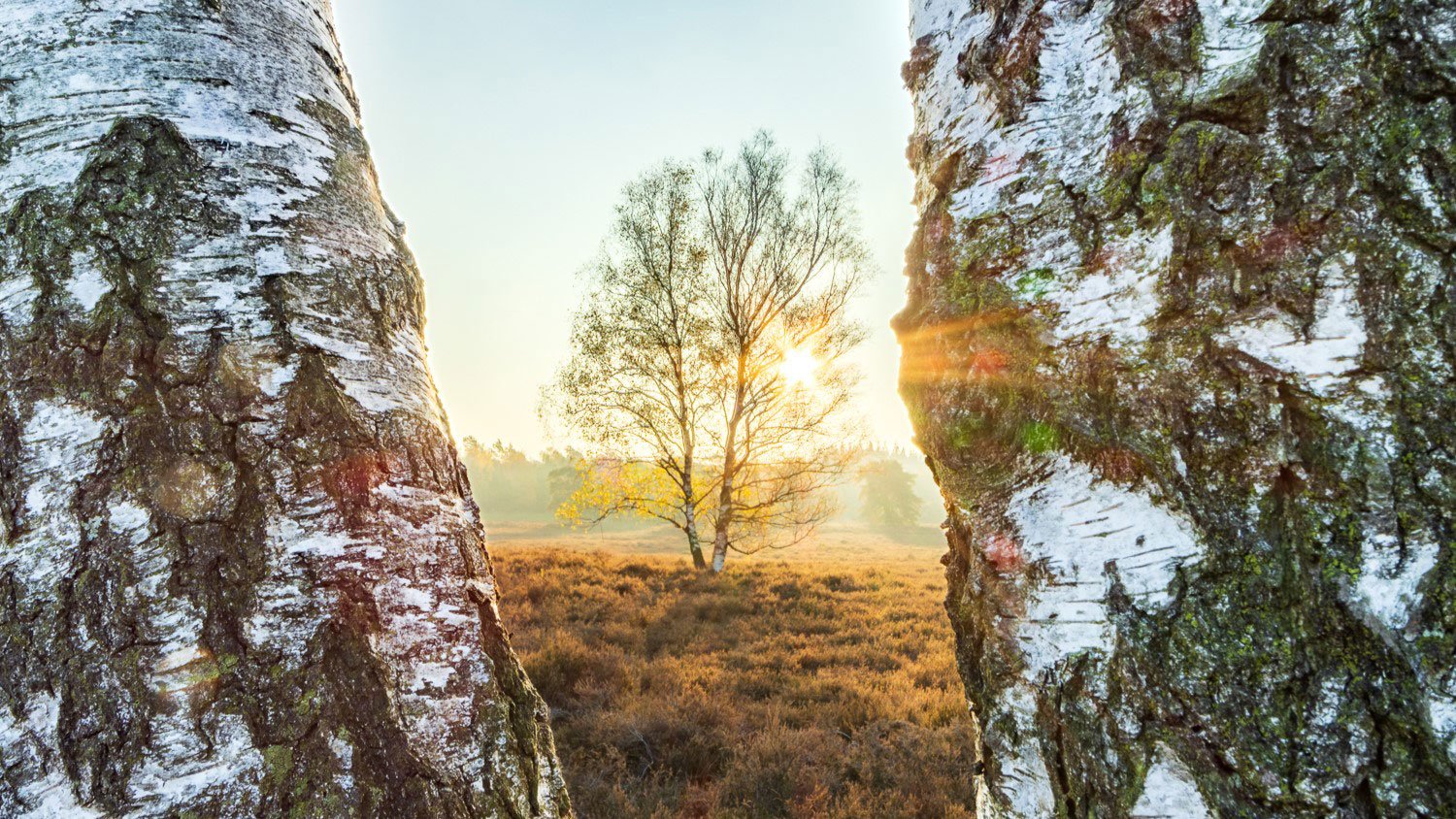 focus stack landschapsfotografie tip