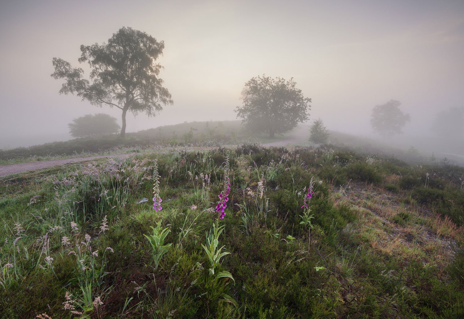 hevonax landschap compositie tips