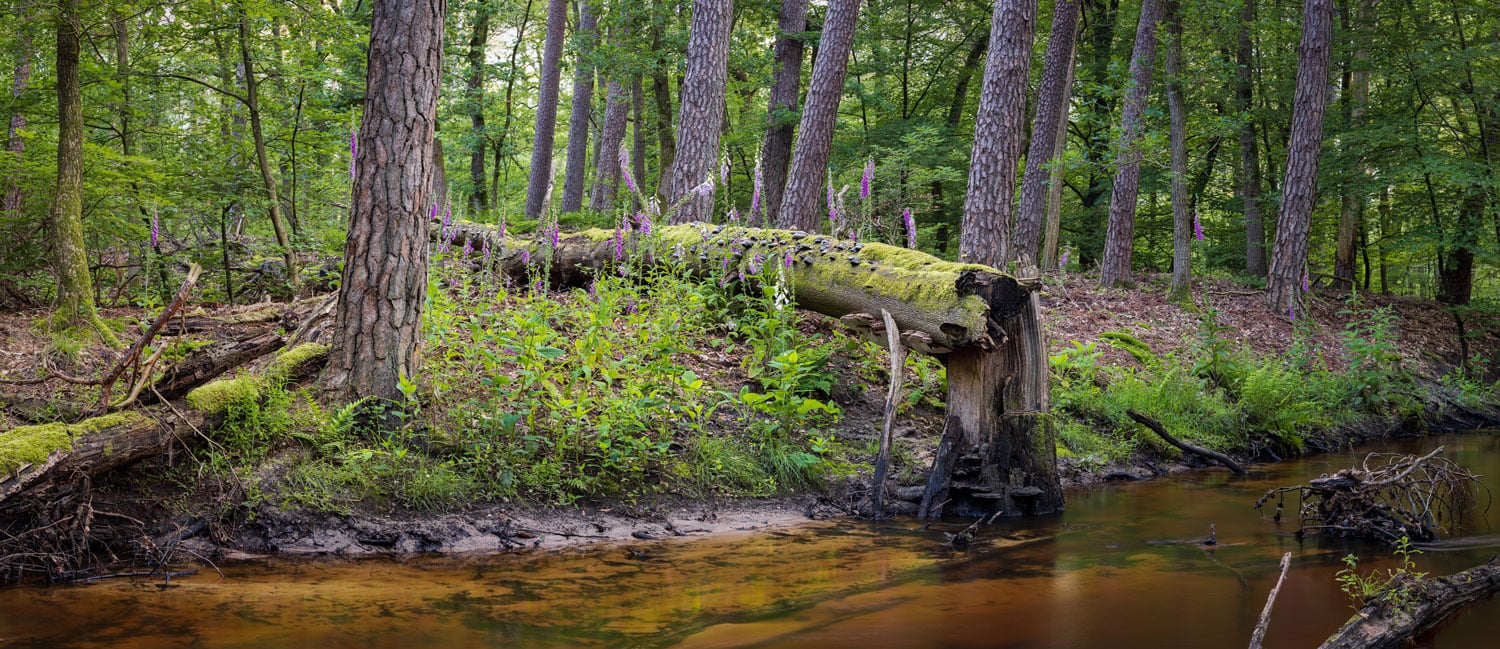 hevonax landschapsfotografie compositie tips