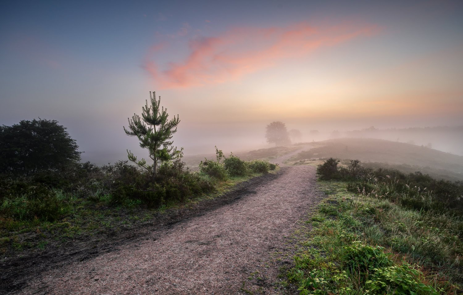 hevonax lijnen compositie tips