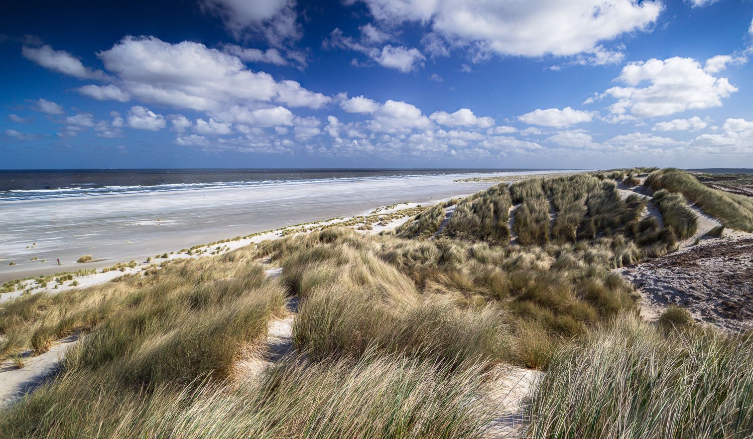 landschapsfotografie compositie tips