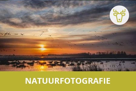 De beste natuurfotografie workshops van het land