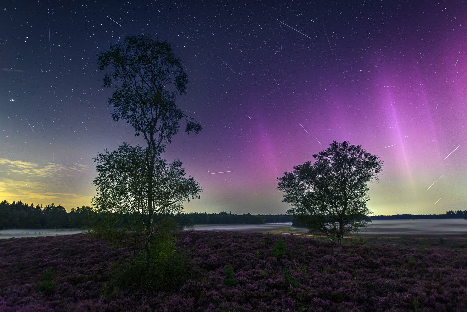 noorderlicht nederland hevonax tips