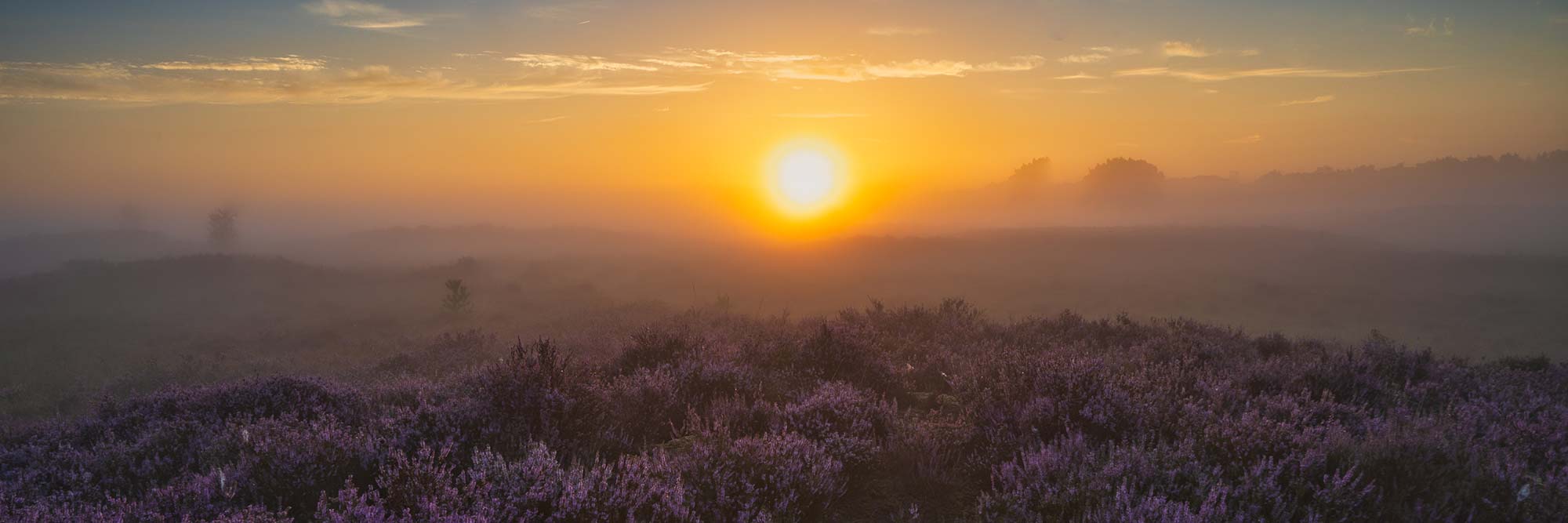 Workshop landschapsfotografie met een filterset - Ivo Schut