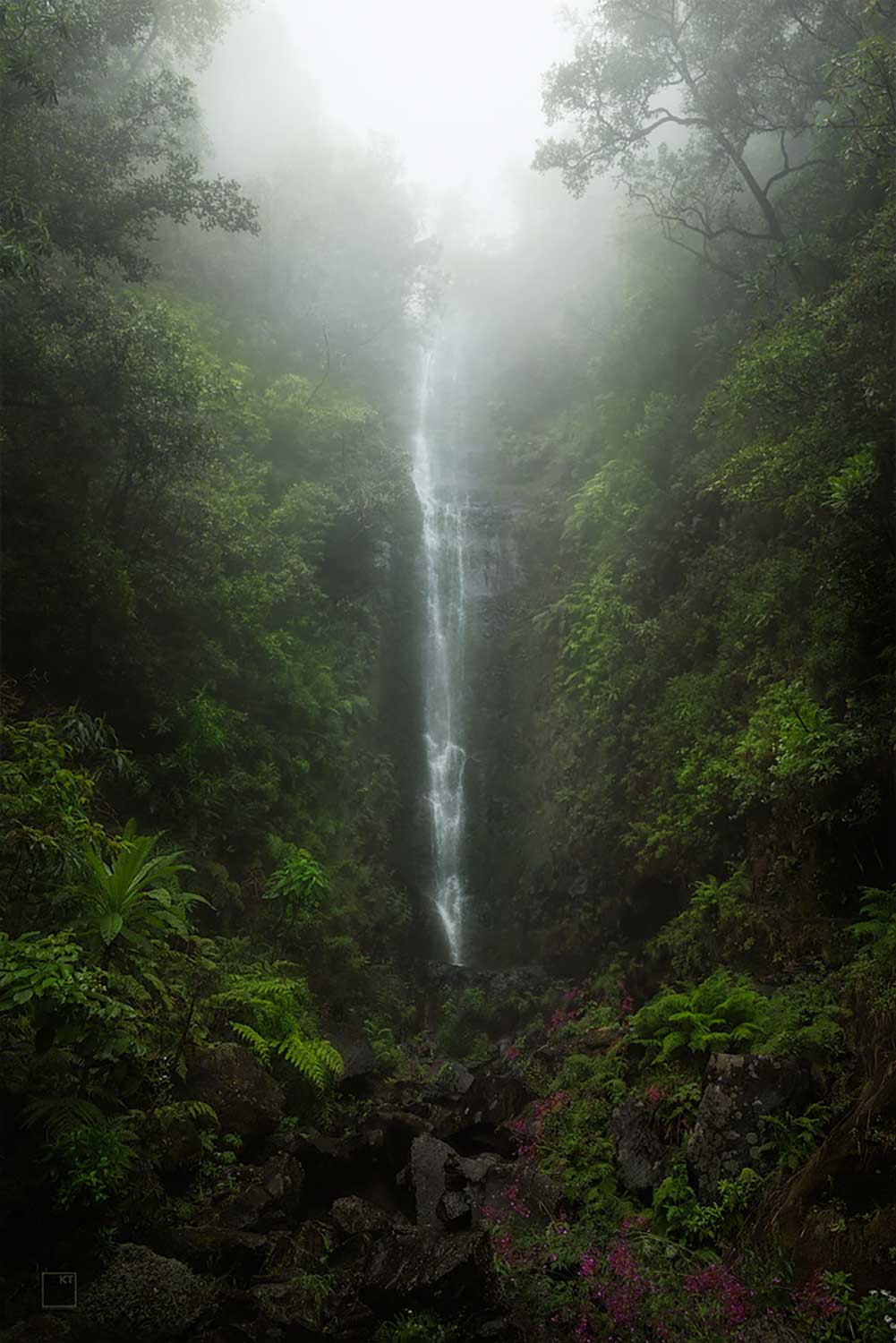 Beste fotolocaties van Madeira - Watervallen fotograferen De mooiste watervallen van Madeira - Fotoreis