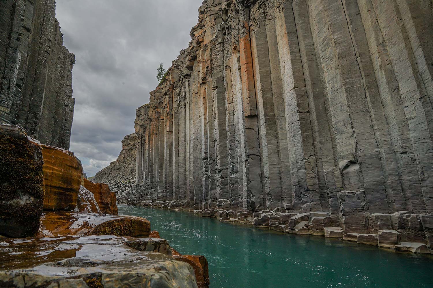 Fotografiereis IJsland - Studlagid Canyon fotograferen Fotografiereis IJsland - Studlagid Canyon fotograferen