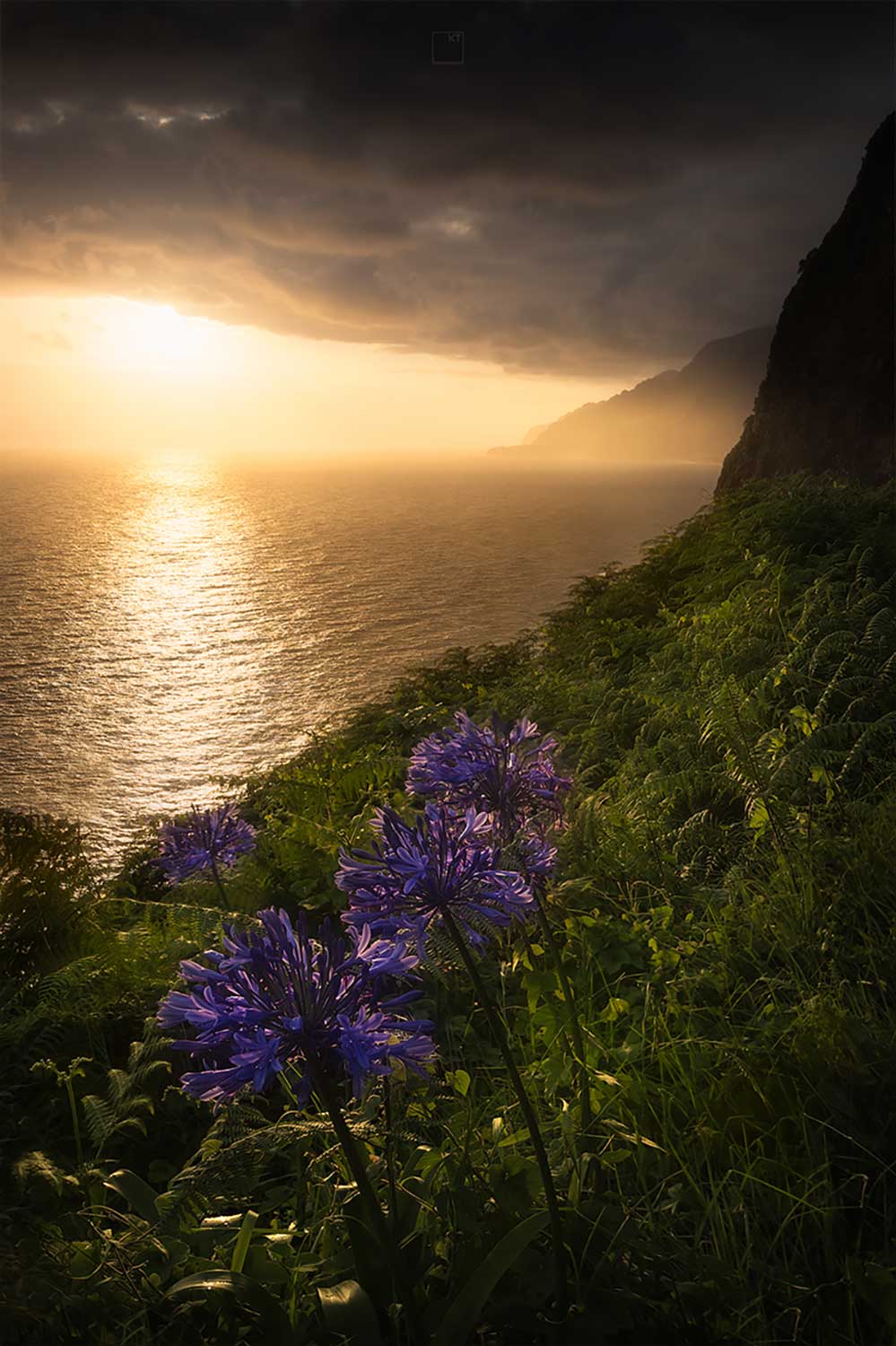 Fotografiereis op Madeira - Landschapsfotografie Fotoreis Madeira - Bloeiende bloemen fotograferen