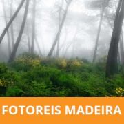 Fotoreis naar Madeira in Portugal