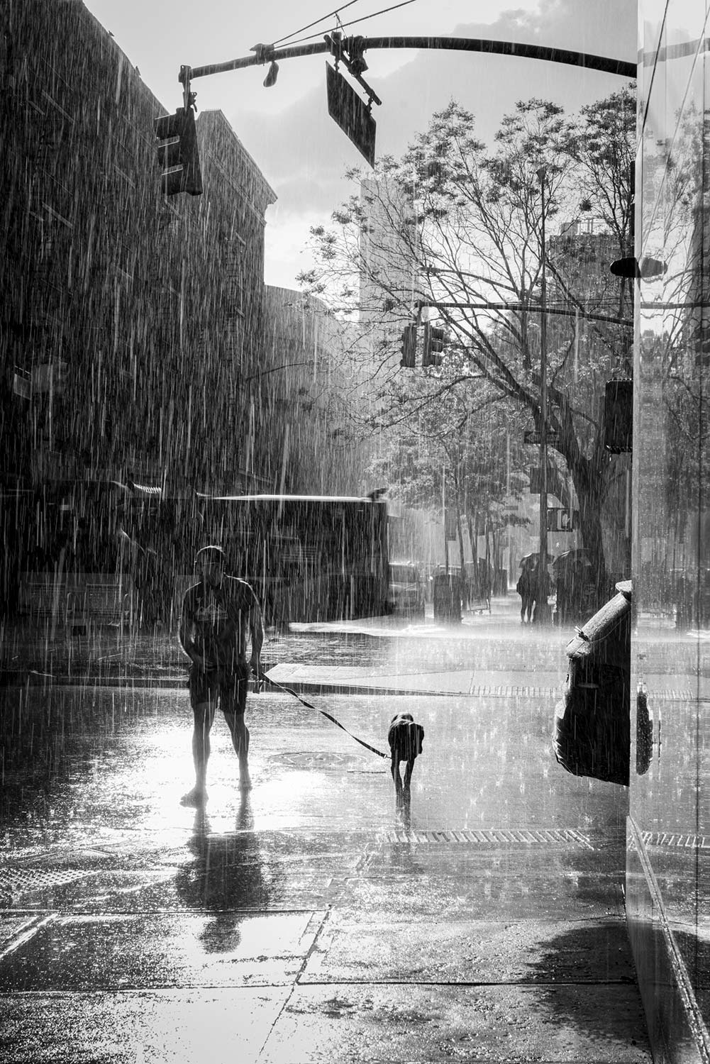 Fotograferen in heftige regenbuien