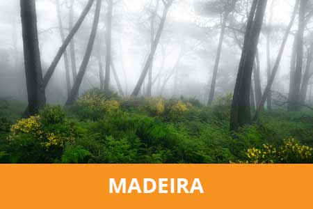 fotoreis madeira portugal