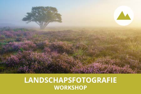Volg de workshop landschapsfotografie in Nederland of in België