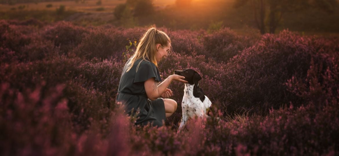 Geschikte locaties voor het fotograferen van huisdieren 🐶