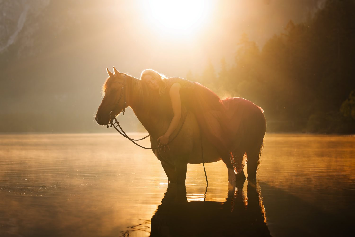 Locatie tips voor paardenfotografie 🐎