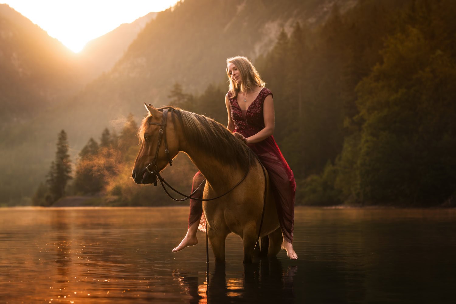 Locatie tips voor paarden & hondenfotografie