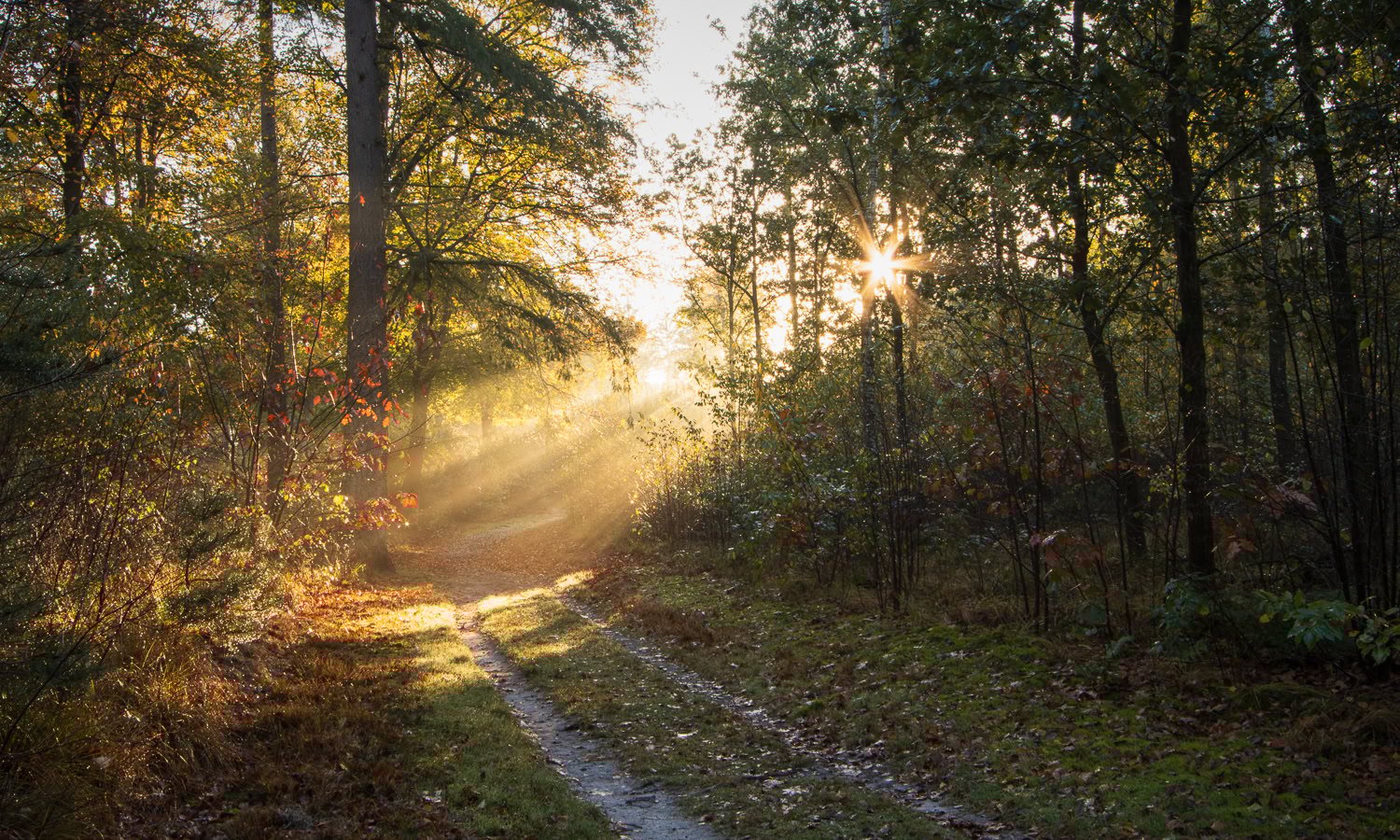 De juiste camera-instellingen voor het fotograferen van zonneharpen