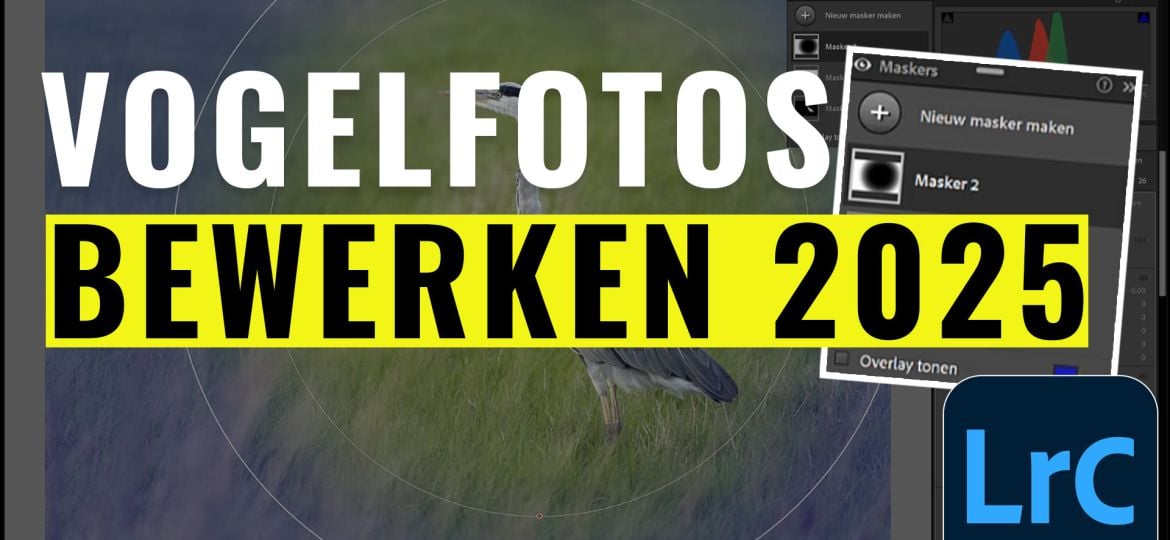 tips-vogel-fotos-bewerken-lightroom-2025