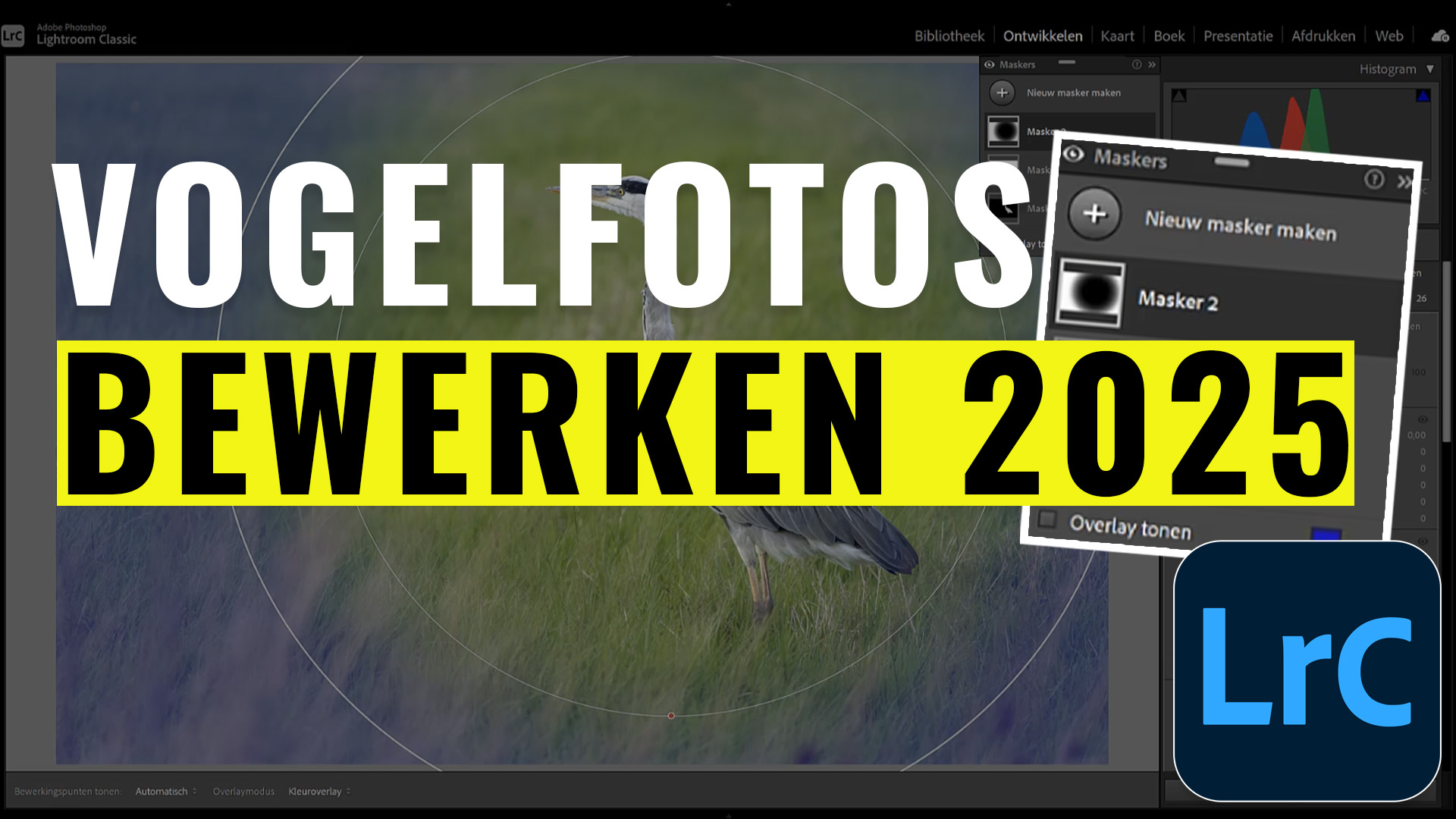 tips vogel fotos bewerken lightroom 2025