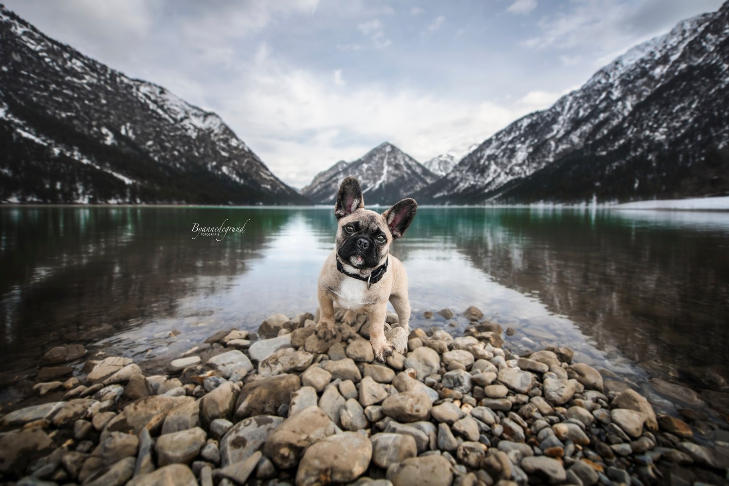 De juiste lens kiezen voor weidse landschappen in Oostenrijk