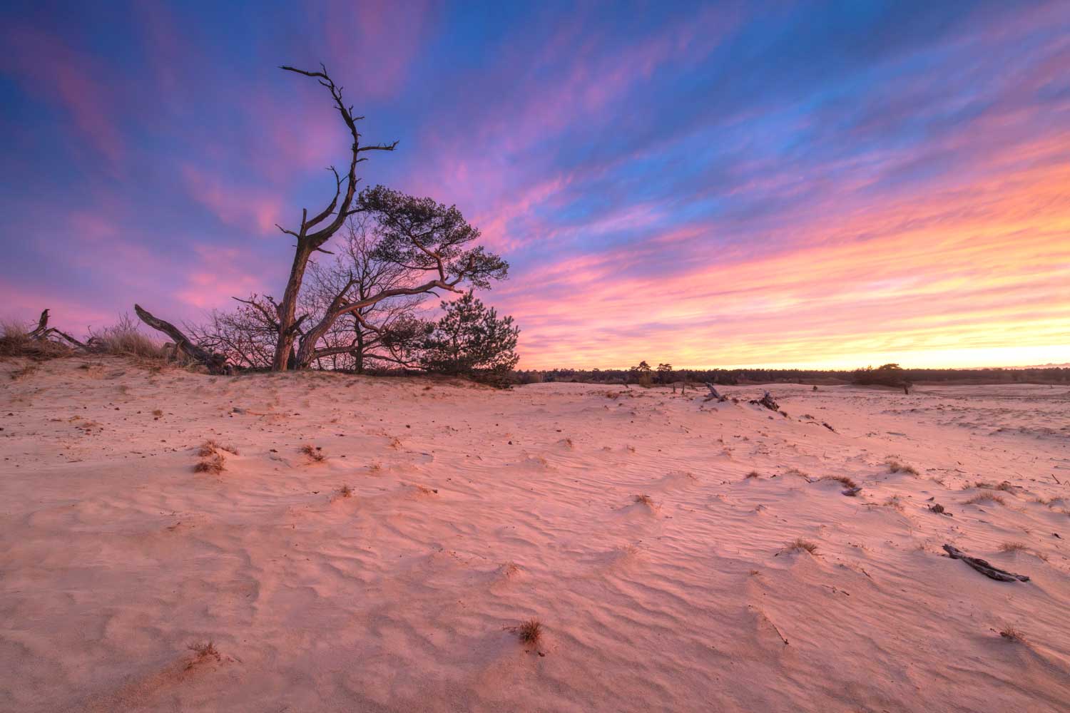 Masterclass landschapsfotografie met geavanceerde technieken voor landschapsfotografen
