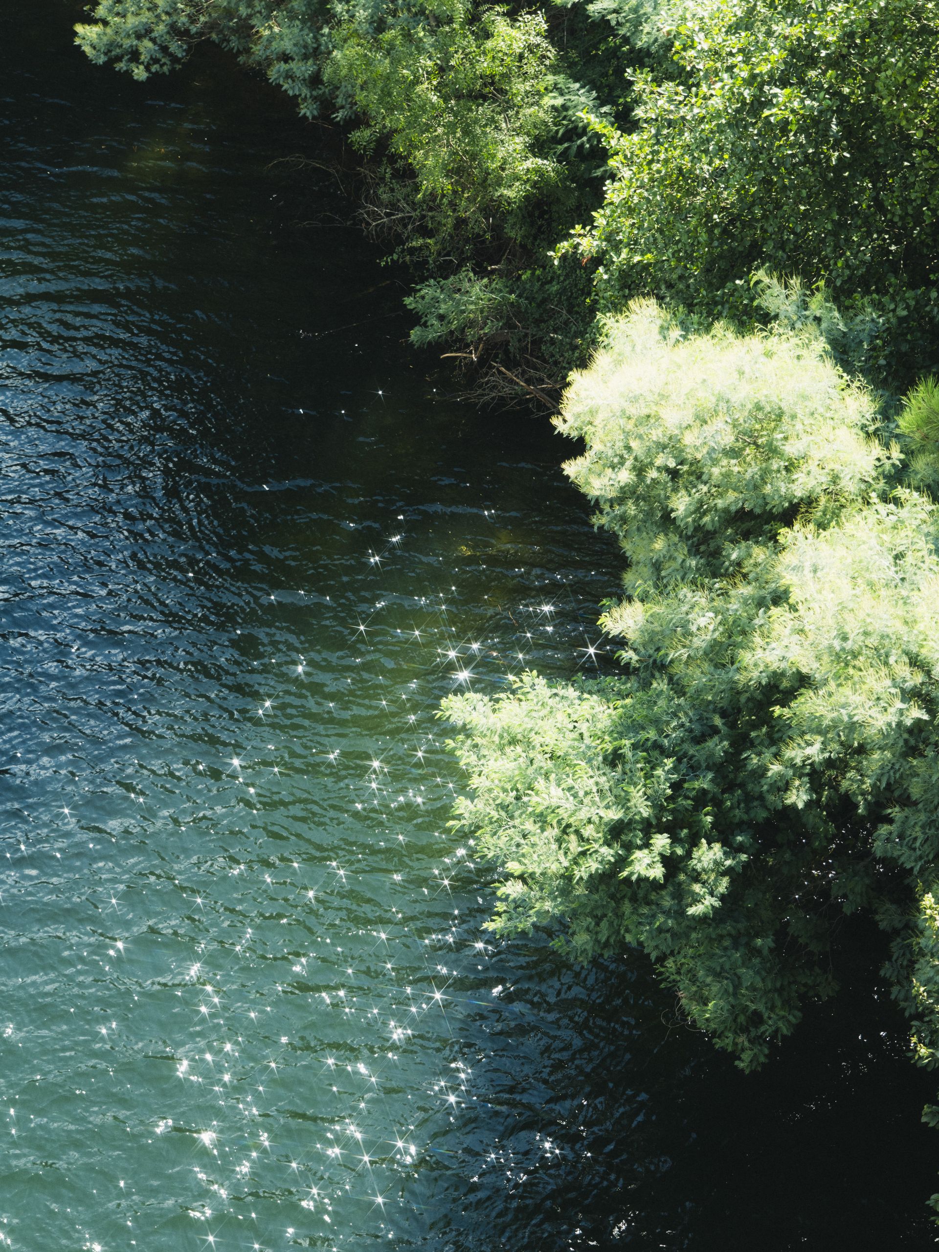 Wanneer gebruik je welk filter bij fotografie