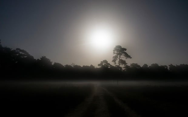 Fotografie van Yanick