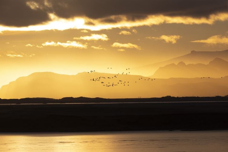 Copyright Mkphotograph